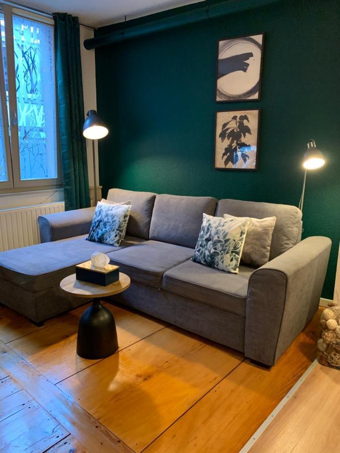 Appartements Des 2 Tetes Кольмар Екстер'єр фото