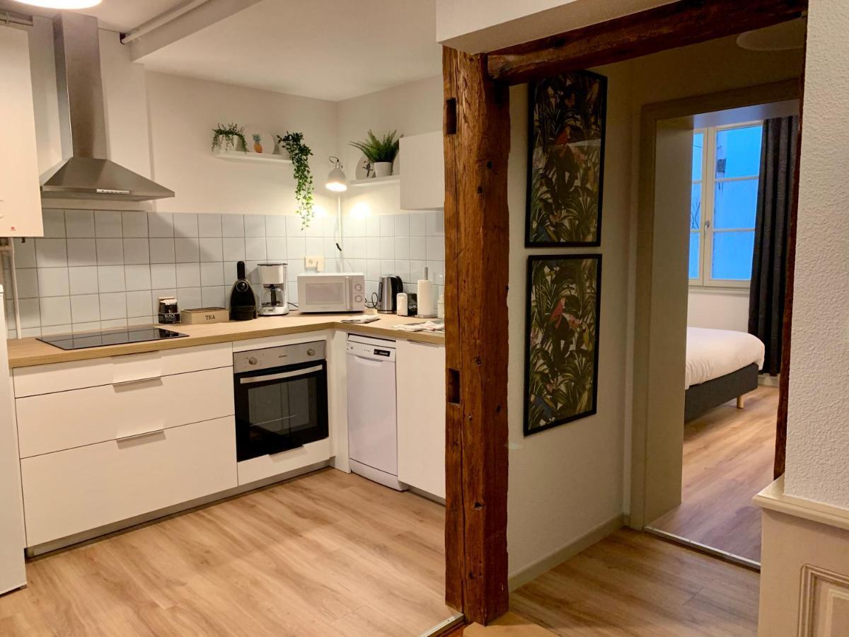 Appartements Des 2 Tetes Кольмар Екстер'єр фото