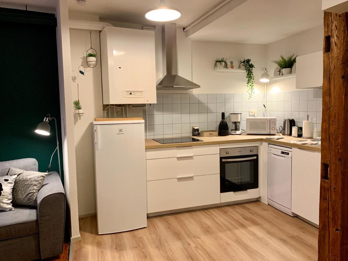 Appartements Des 2 Tetes Кольмар Екстер'єр фото